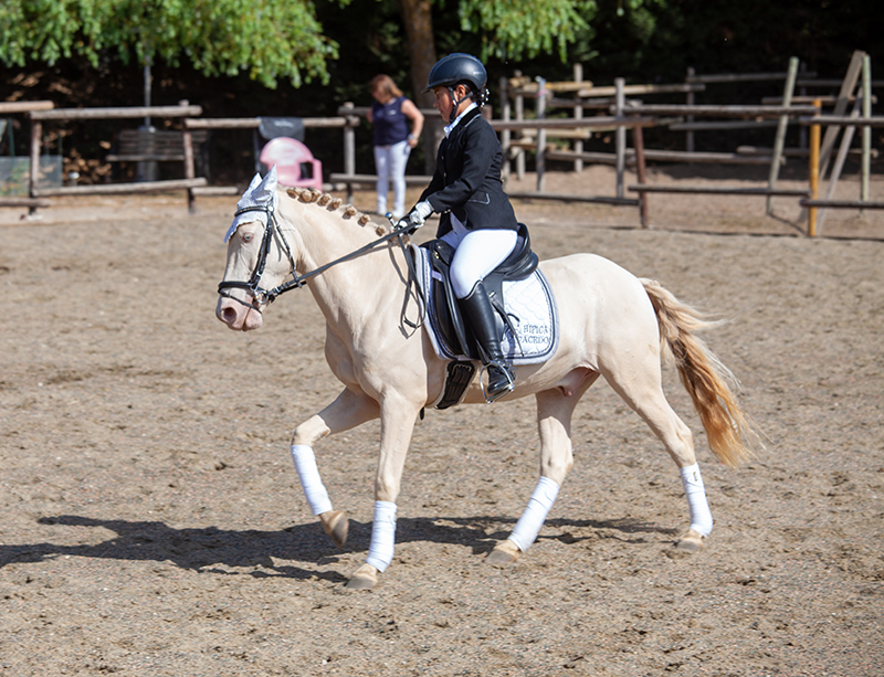 Tercera Fase de la Copa Federaciones de Doma en Zolina