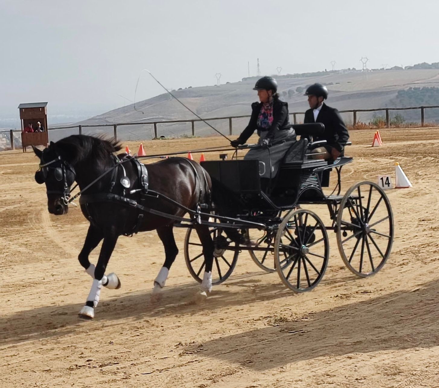 Bronce Navarro en el Campeonato de España de Enganches Concurso Completo