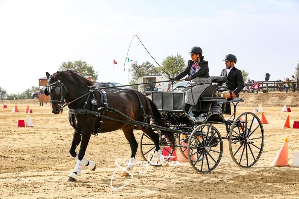 Bronce Navarro en el Campeonato de España de Enganches Concurso Completo