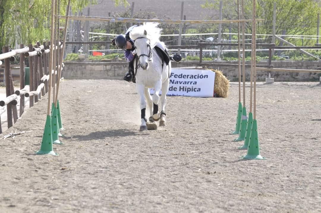 Campeonato Navarro de TREC en Zolina