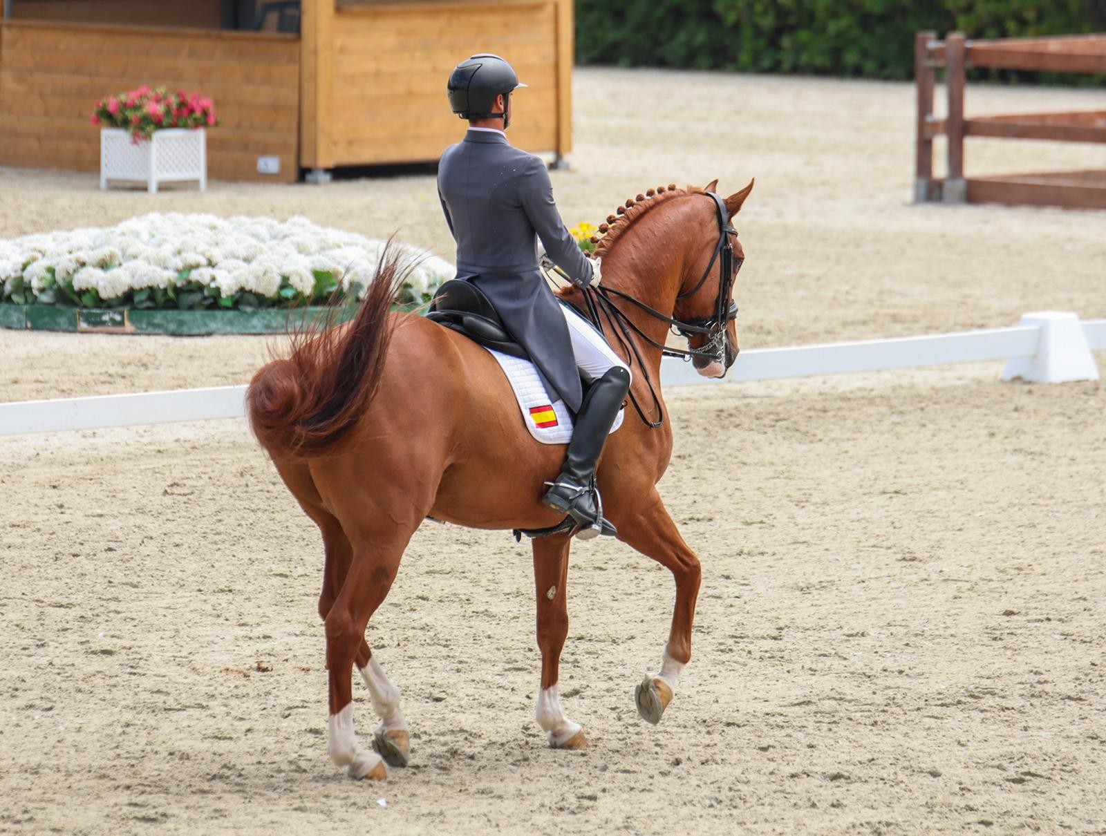 Buen trabajo de Diego Martínez del Moral en Barcelona