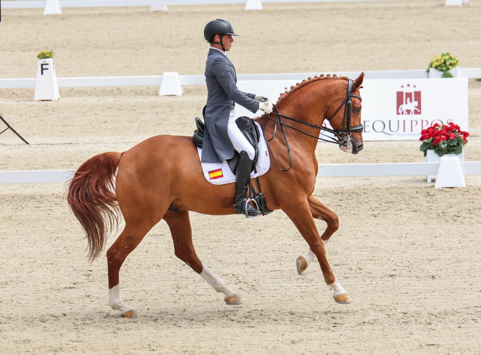 Buen trabajo de Diego Martínez del Moral en Barcelona