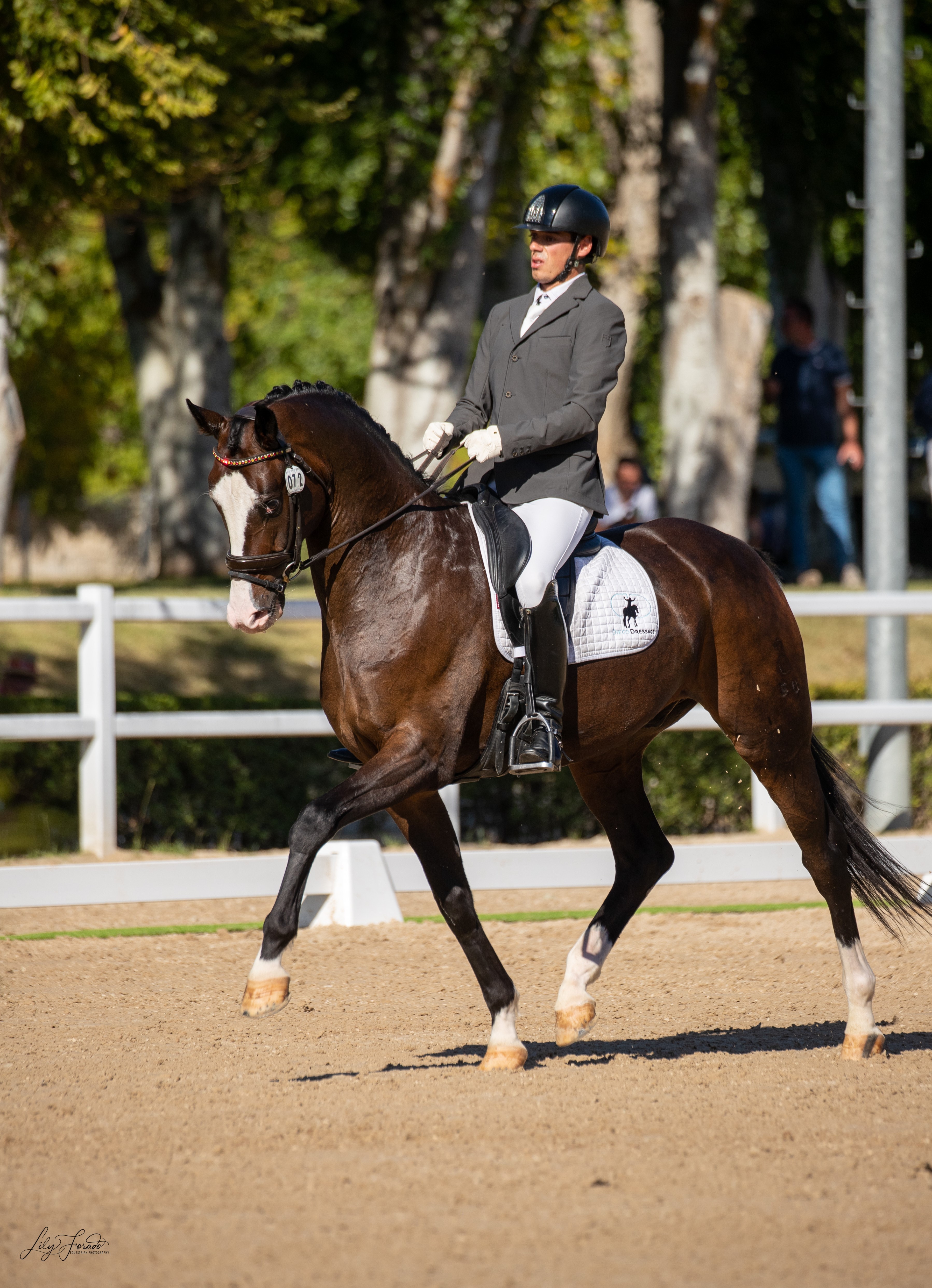 Entrevista a Diego Martínez Del Moral: En la Doma Clásica la idea es que jinete y montura sean uno