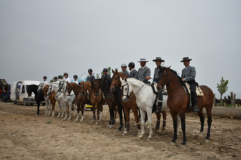 Fin de semana de Doma Vaquera y Equitaci&oacute;n de Trabajo en Falces