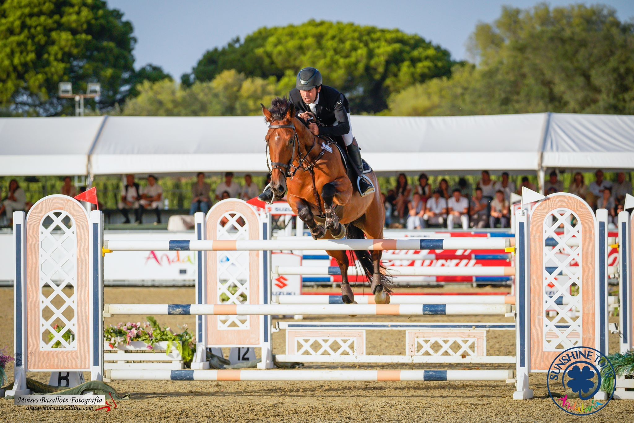 Buen tono de los jinetes navarros en el Campeonato de Espa&ntilde;a de Saltos