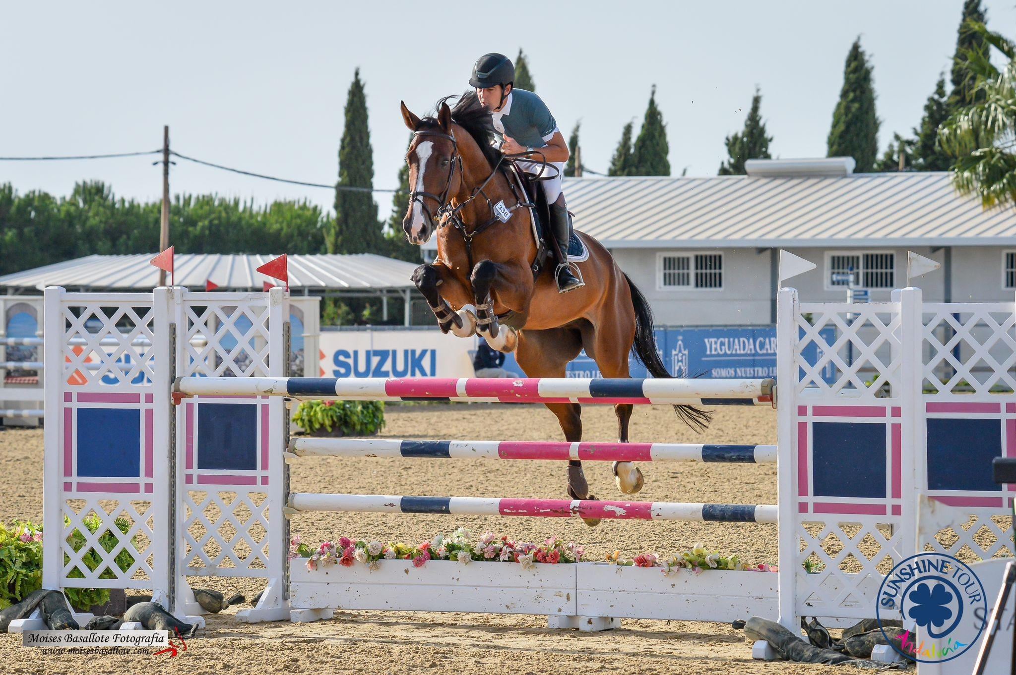 Buen tono de los jinetes navarros en el Campeonato de España de Saltos