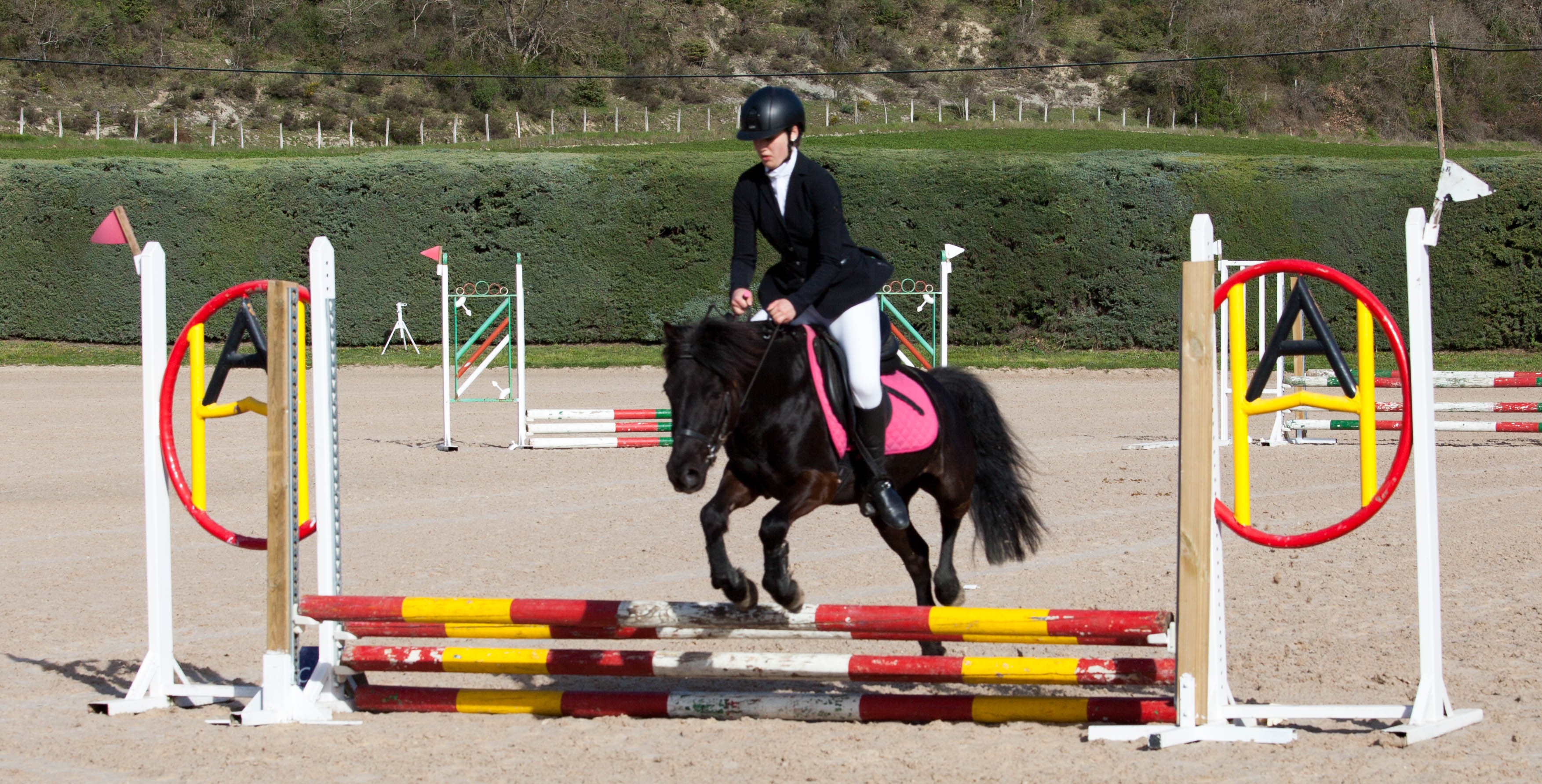 Segunda Fase de la Liga Navarra de Salto