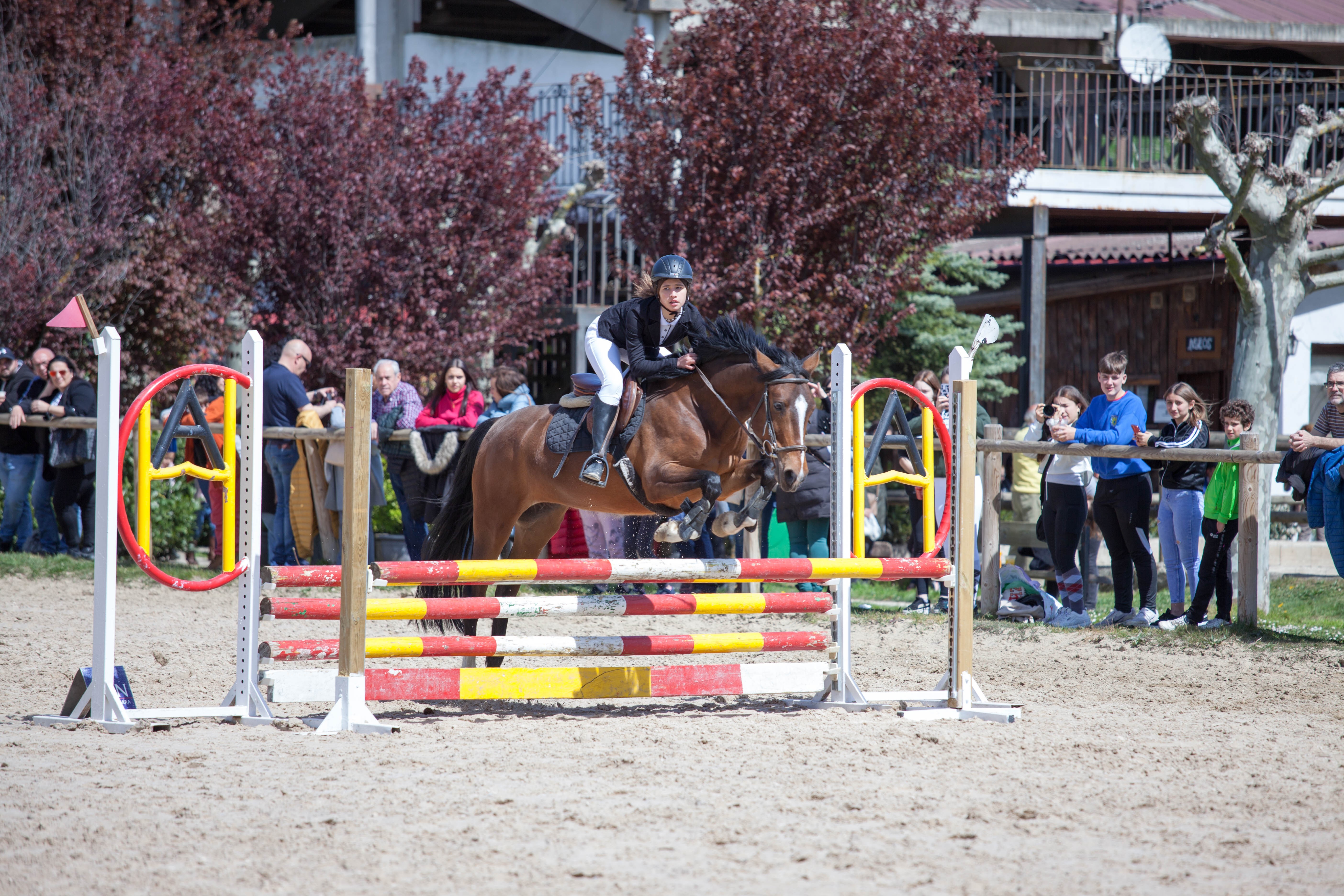 Segunda Fase de la Liga Navarra de Salto