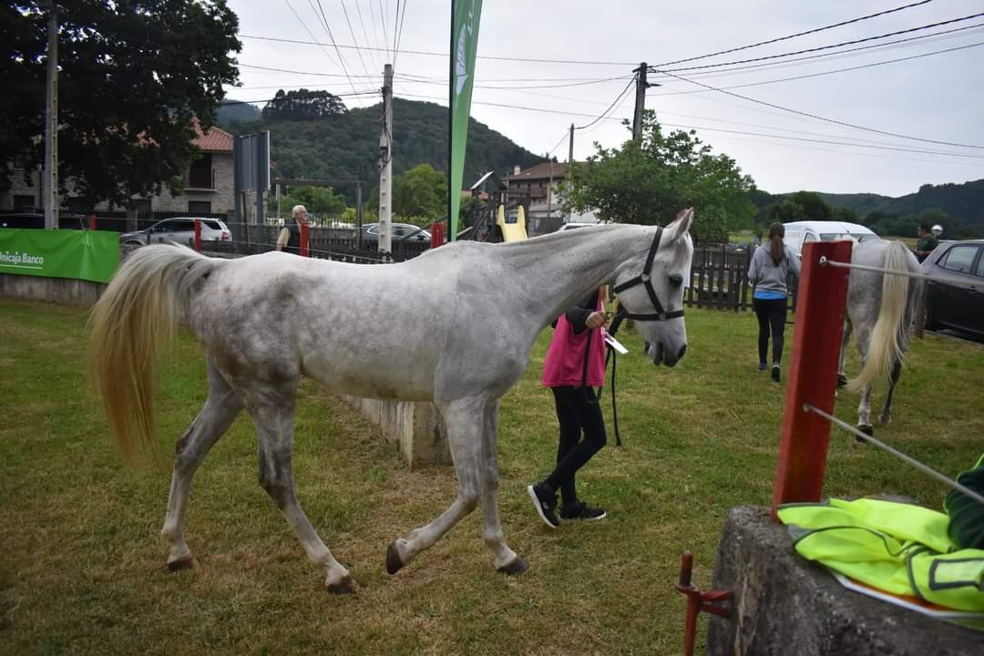 Silvia Pérez De Zabalza quinta en el Raid de Liendo