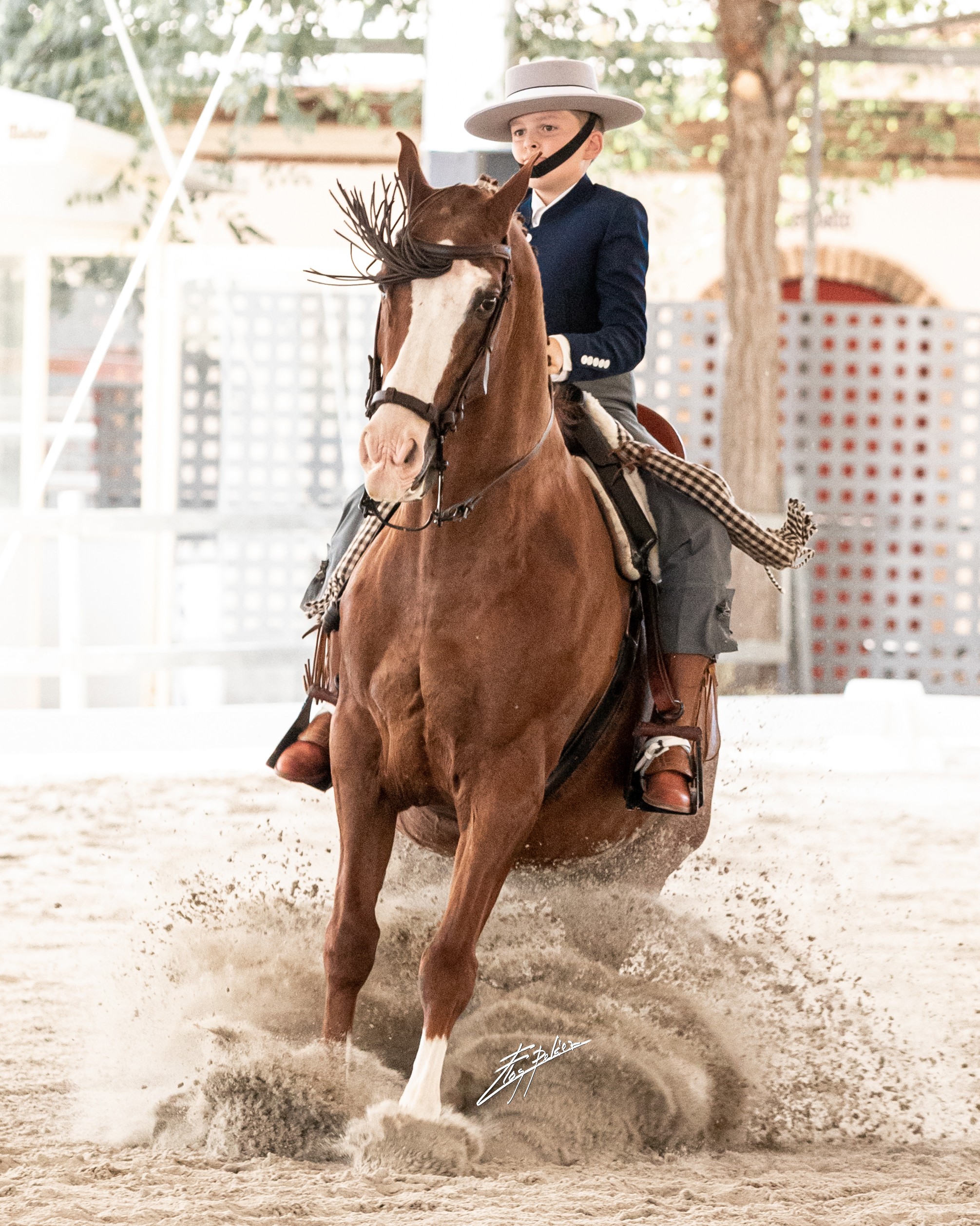 Cuarta plaza para Xabier Fermín Zabalza en el Campeonato de España de Doma Vaquera