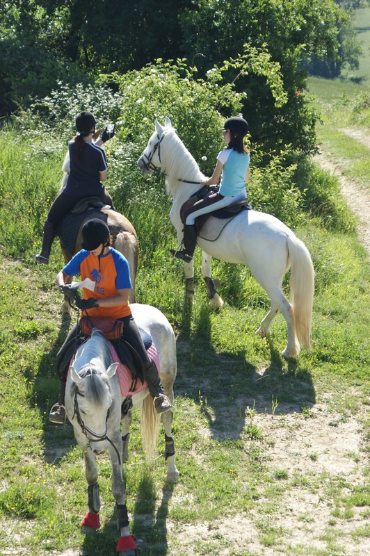 Cursillo de Trec el pr&oacute;ximo d&iacute;a  25 de abril en el C. H. A&ntilde;&eacute;zcar