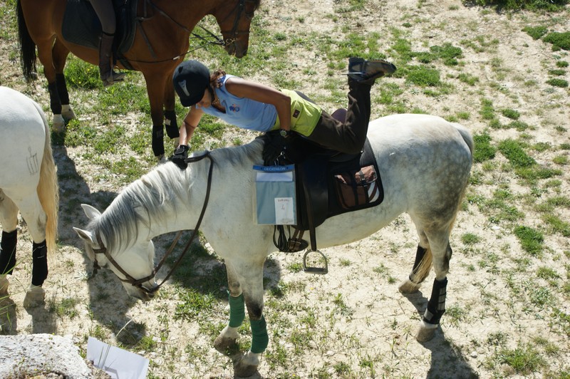 Cursillo de Trec el próximo día  25 de abril en el C. H. Añézcar