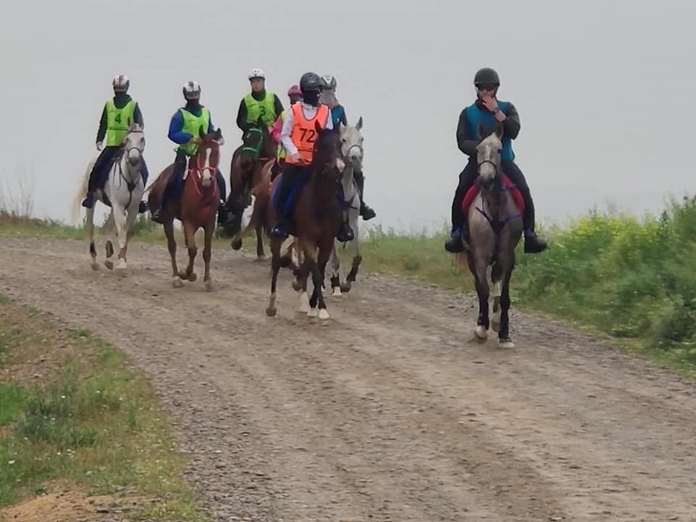 Buen trabajo de las monturas navarras en el Raid de Pitillas