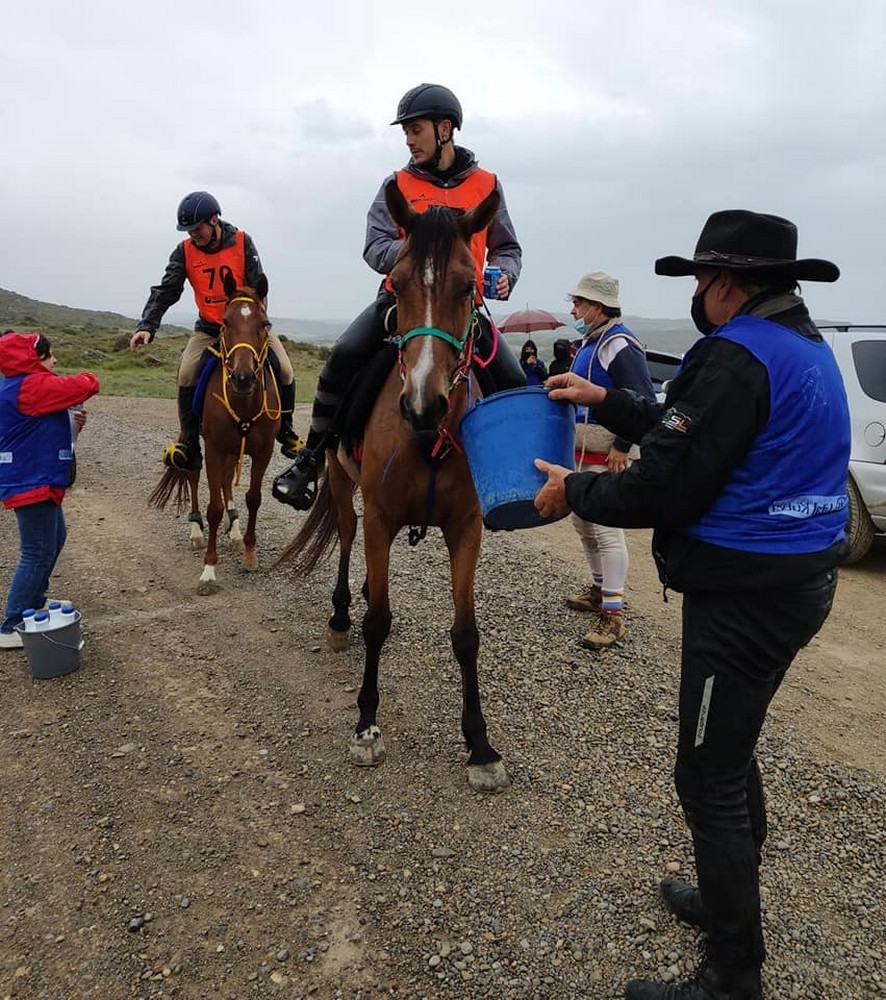 Buen trabajo de las monturas navarras en el Raid de Pitillas