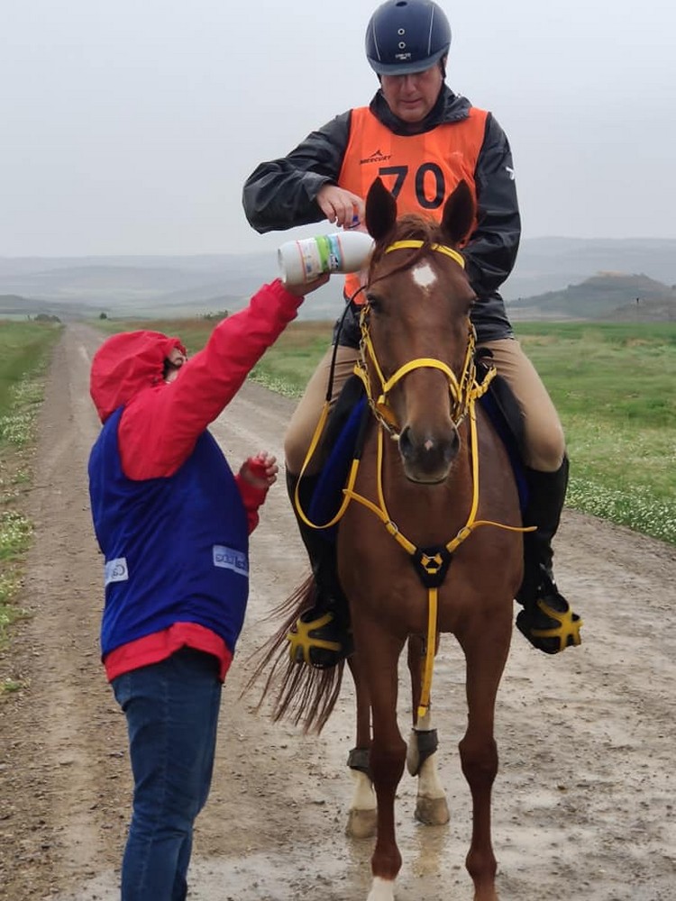 Buen trabajo de las monturas navarras en el Raid de Pitillas