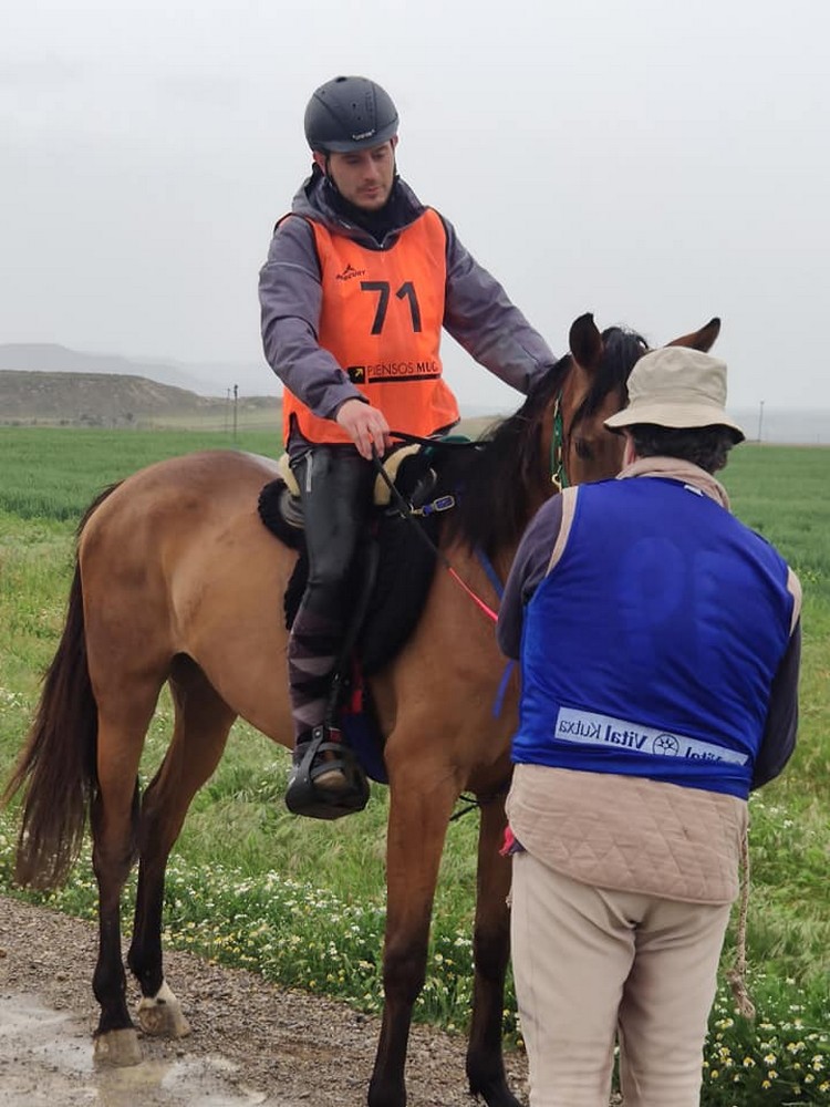 Buen trabajo de las monturas navarras en el Raid de Pitillas