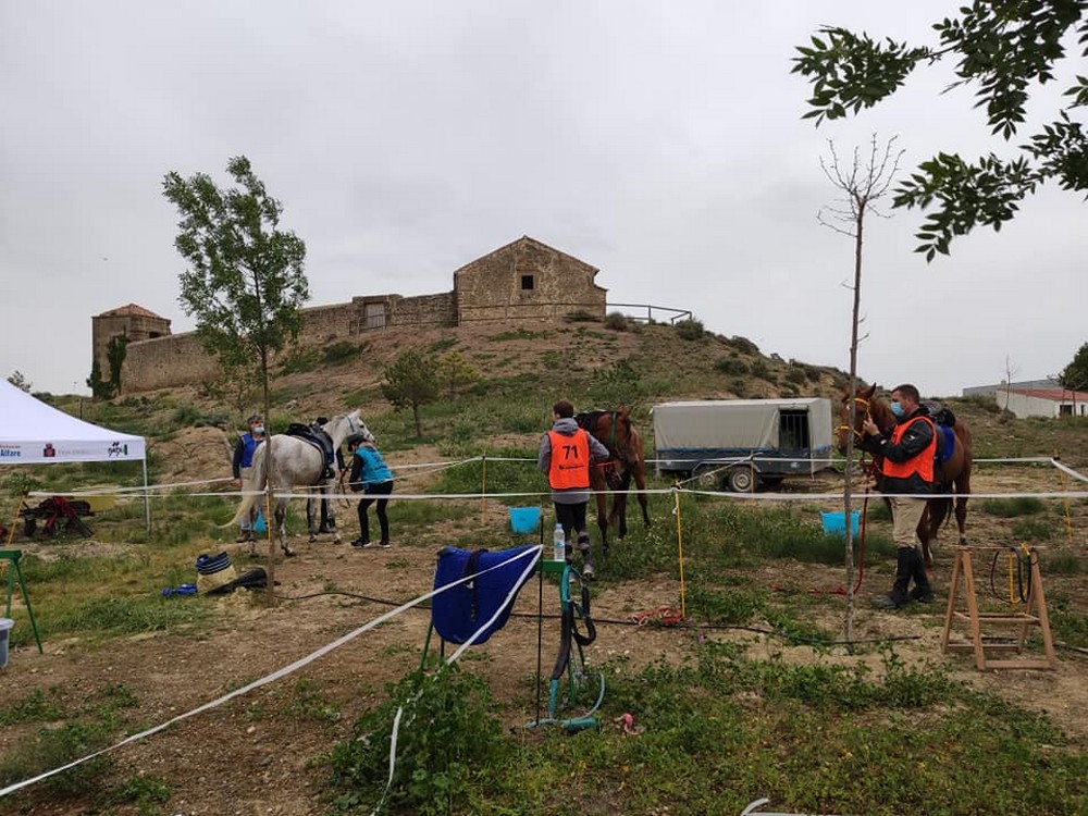 Buen trabajo de las monturas navarras en el Raid de Pitillas