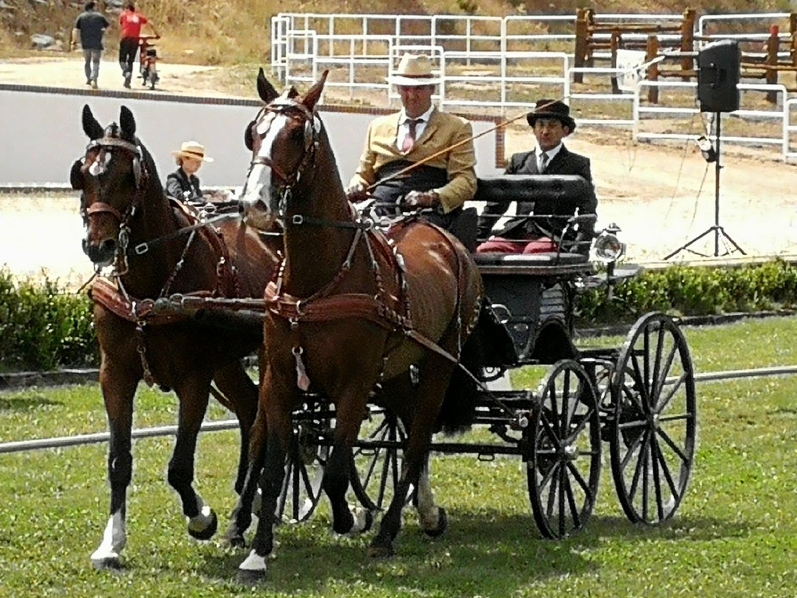 Excelente representación Navarra en la Copa S.M. el Rey de Enganches 2018