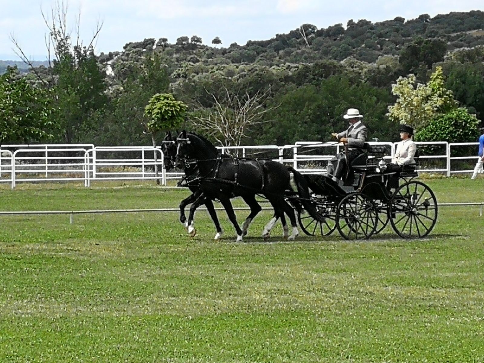 Excelente representación Navarra en la Copa S.M. el Rey de Enganches 2018