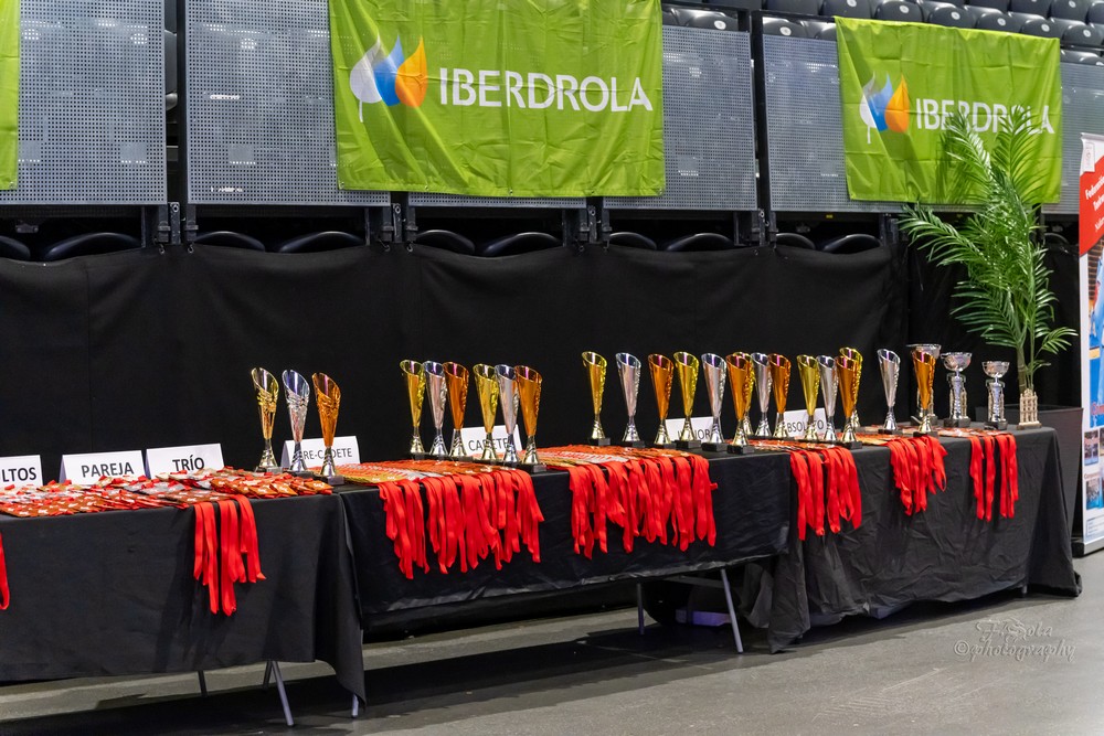 XVI Open Ciudad de Pamplona de taekwondo