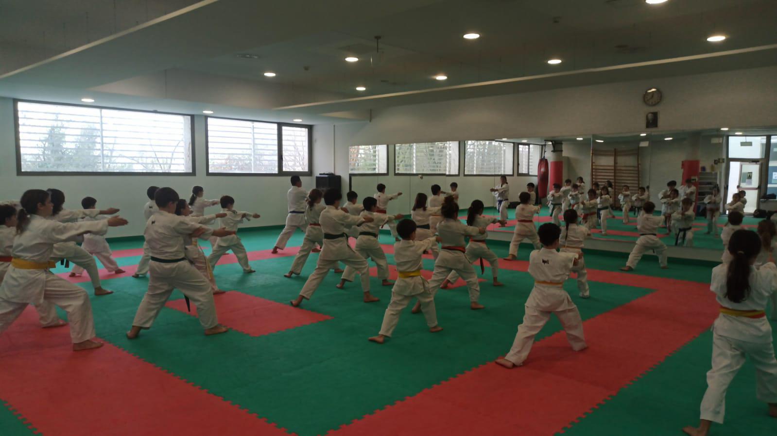 Curso de Iniciaci&oacute;n a Kata y Kumite &ndash; Categor&iacute;as Inferiores
