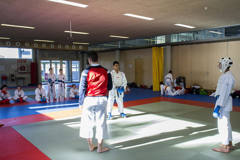 Entrenamientos en Navidad