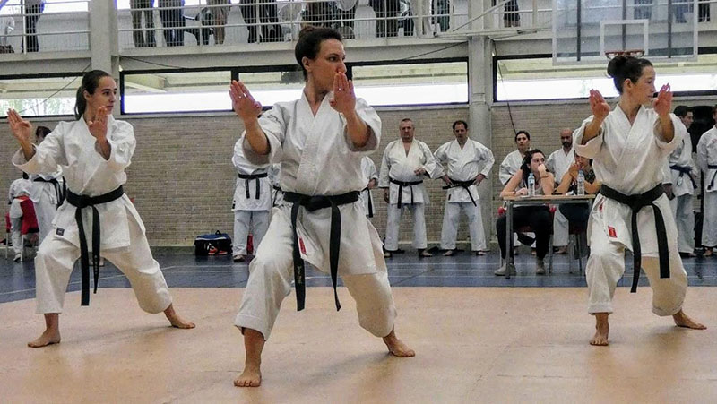 La SDC Echavacoiz organiz&oacute; su tradicional Campeonato de Karate.