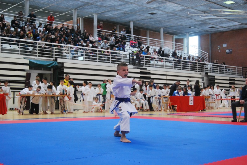 Campeonato Navarro de Katas en Arrosadía