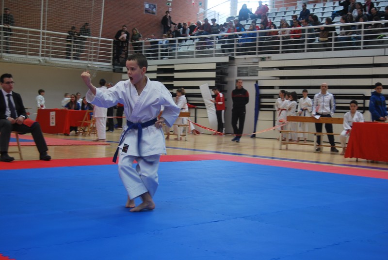 Campeonato Navarro de Katas en Arrosadía
