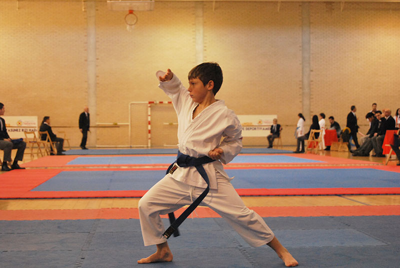 Curso de Kata y Kumite