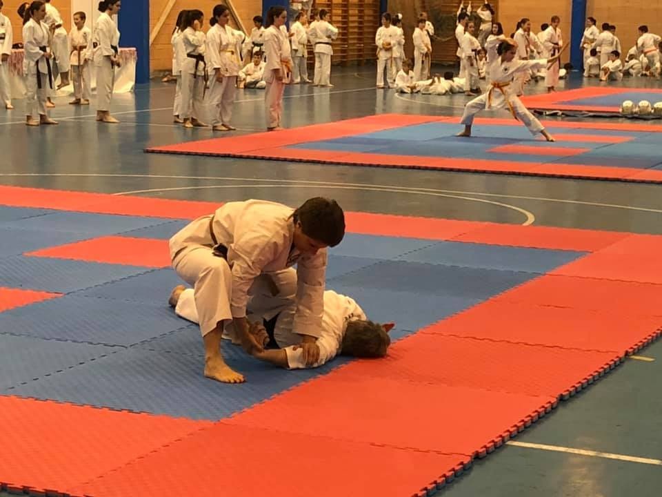 Multitudinario Campeonato Navarro de Kenpo