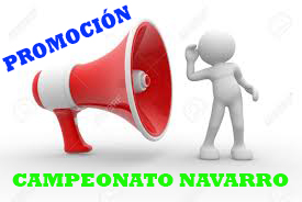 Campeonato Navarro de Promoci&oacute;n
