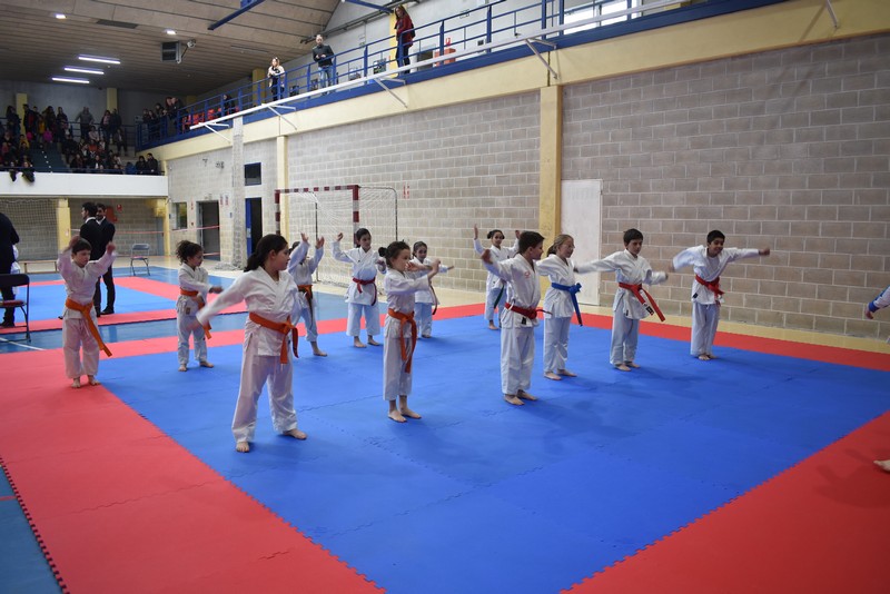 Campeonato Navarro de Kata Infantil y Juvenil en Huarte