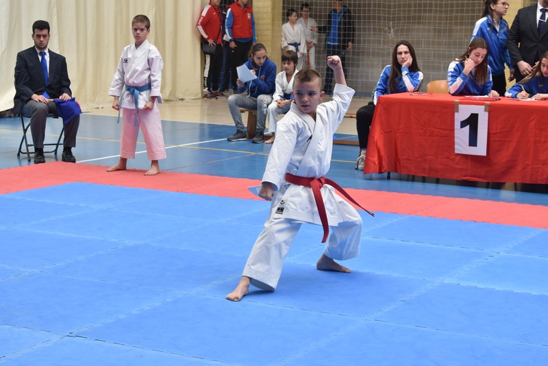 Campeonato Navarro de Kata Infantil y Juvenil en Huarte