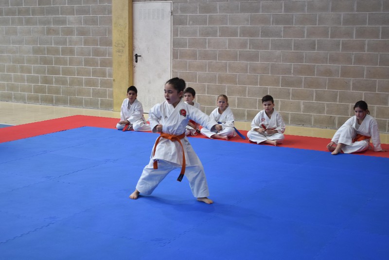 Campeonato Navarro de Kata Infantil y Juvenil en Huarte