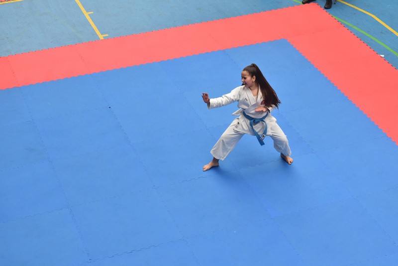 Campeonato Navarro de Kata Infantil y Juvenil en Huarte