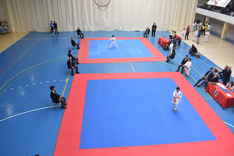 Terminan los Juegos Deportivos en Categor&iacute;a Infantil y Juvenil