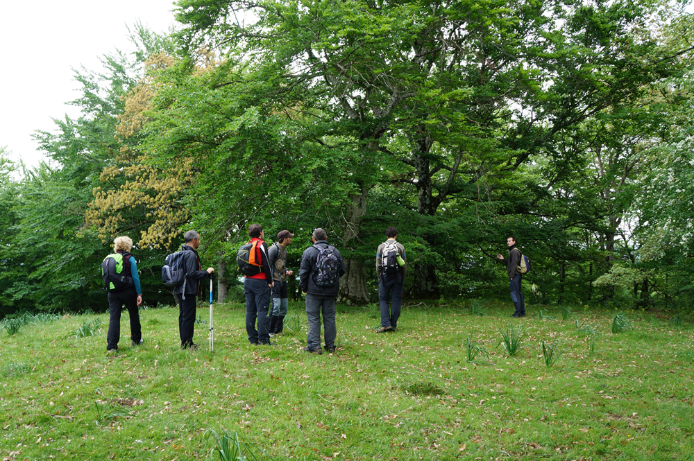 PROXIMO CURSO GPS; 12,13,14 JUNIO
