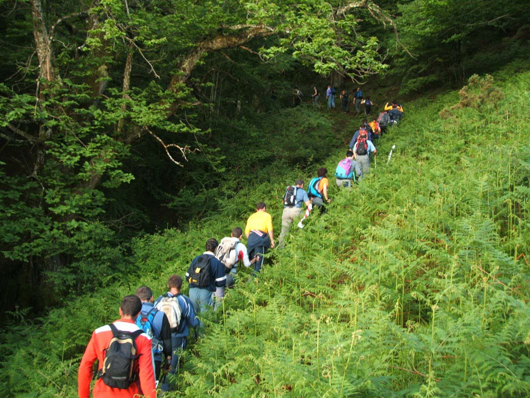 LISTADO PROVISIONAL FINALISTAS MARCHAS LARGO RECORRIDO 2018
