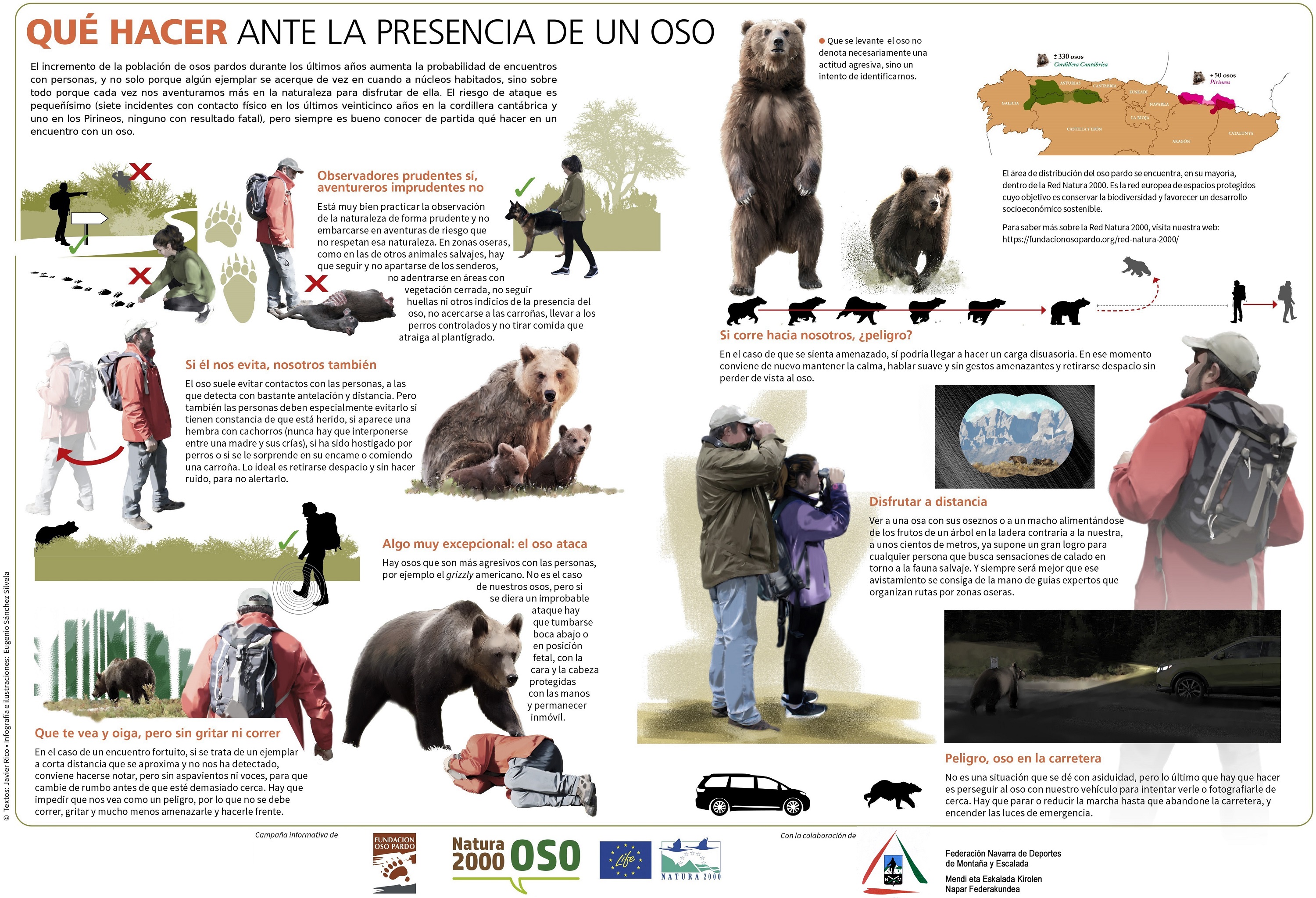 FUNDACI&Oacute;N OSO PARDO