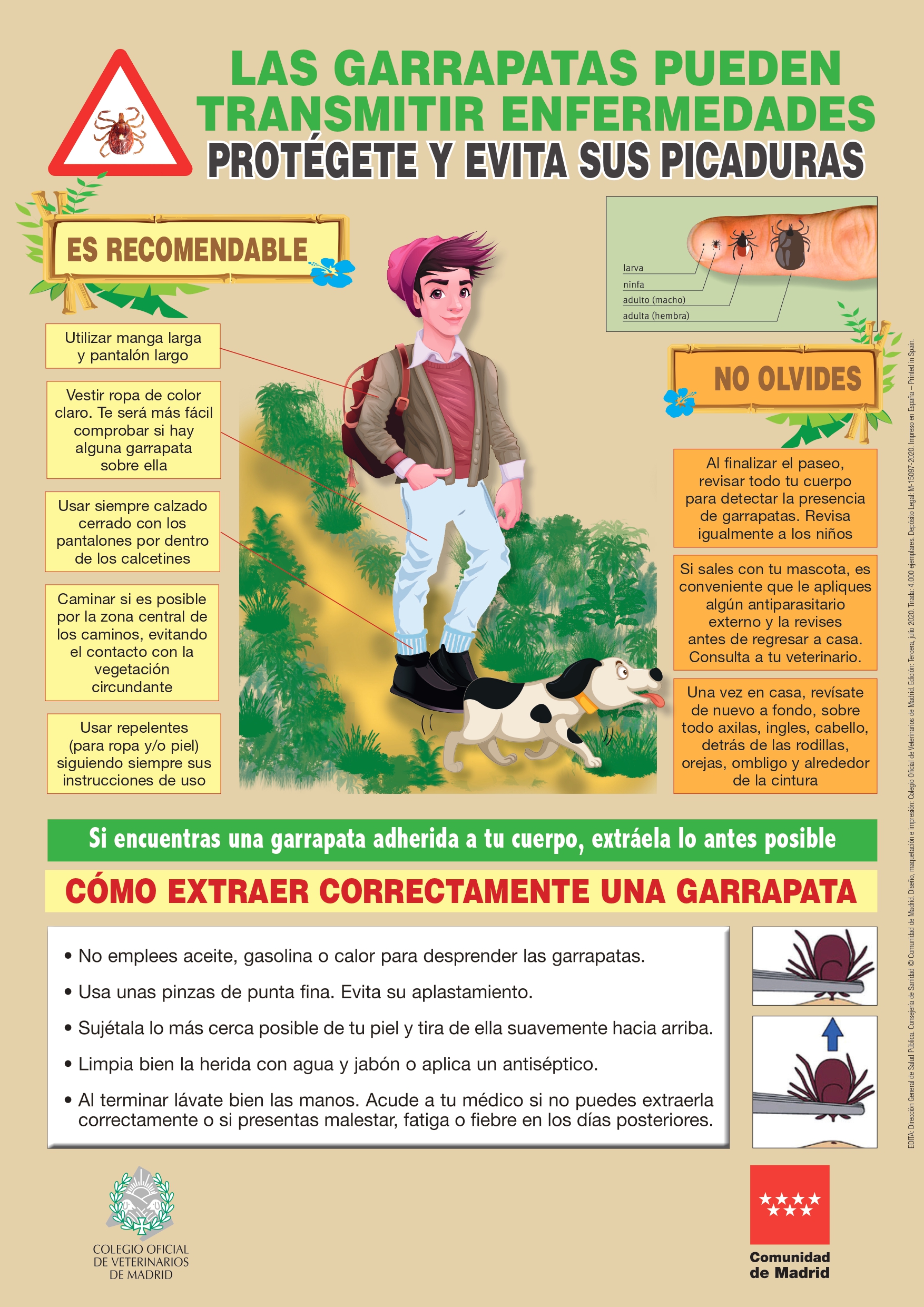 GARRAPATAS