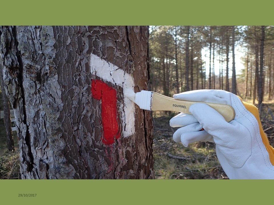 VOLUNTARIADO DE SENDEROS, ABIERTO PLAZO INSCRIPCI&Oacute;N