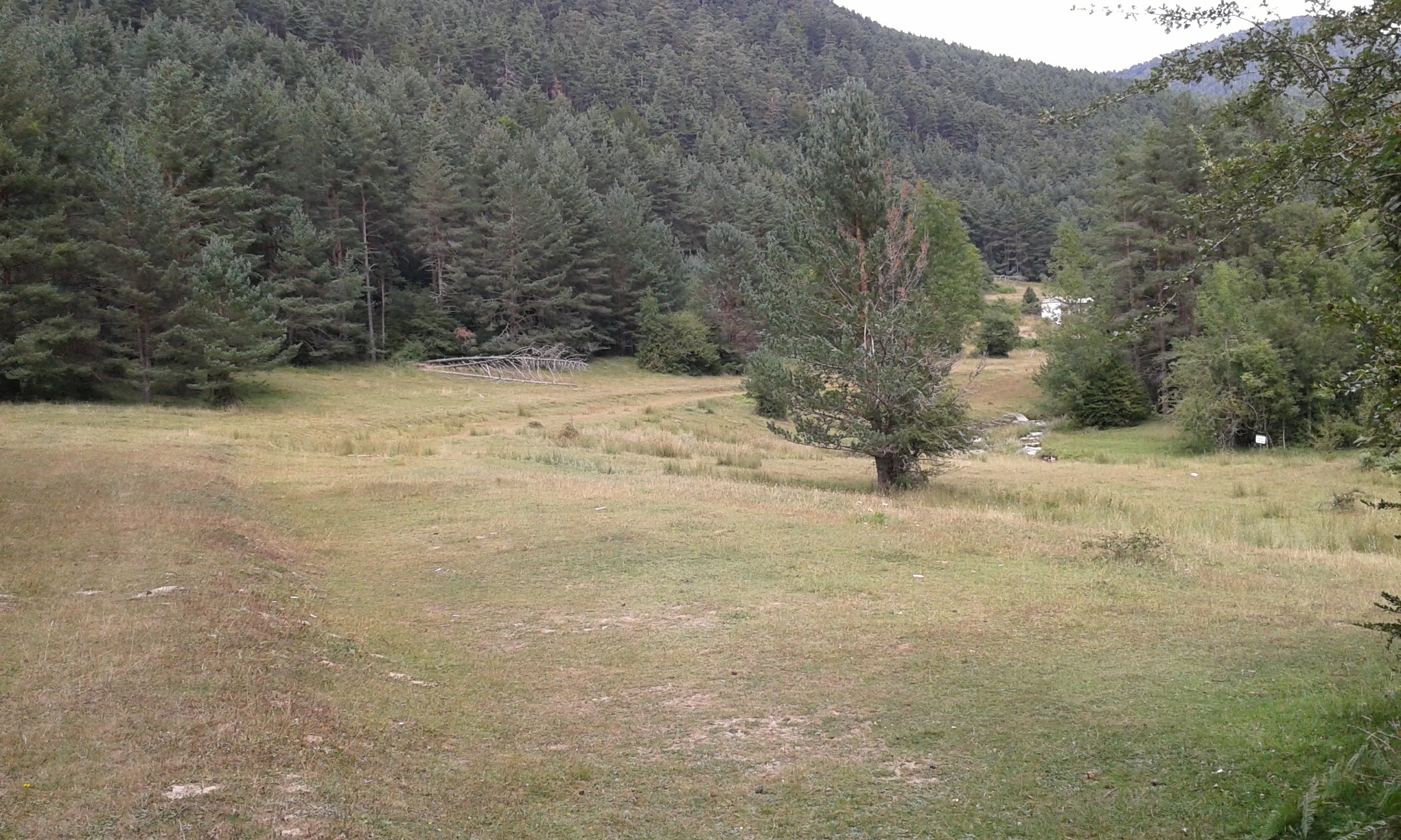 MODIFICACIONES PARCIALES EN EL GR® 11 EN SU TRAMO NAVARRO