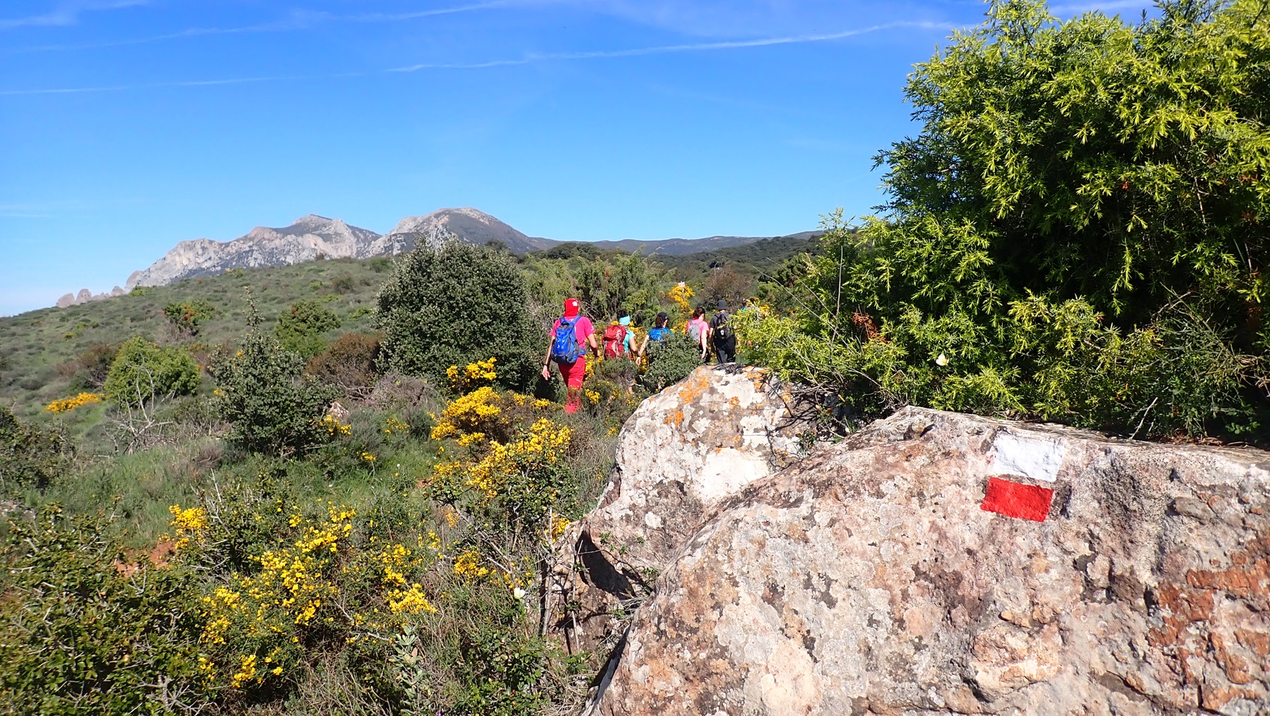 CELEBRADO EL III DÍA DEL VOLUNTARIADO DE SENDEROS