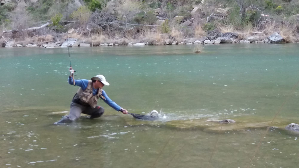 Clasificaci&oacute;n provisional Campeonato Navarro Salm&oacute;nidos Lance