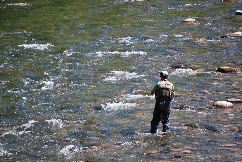 Cinco navarros en el Campeonato de Espa&ntilde;a de Salm&oacute;nidos.