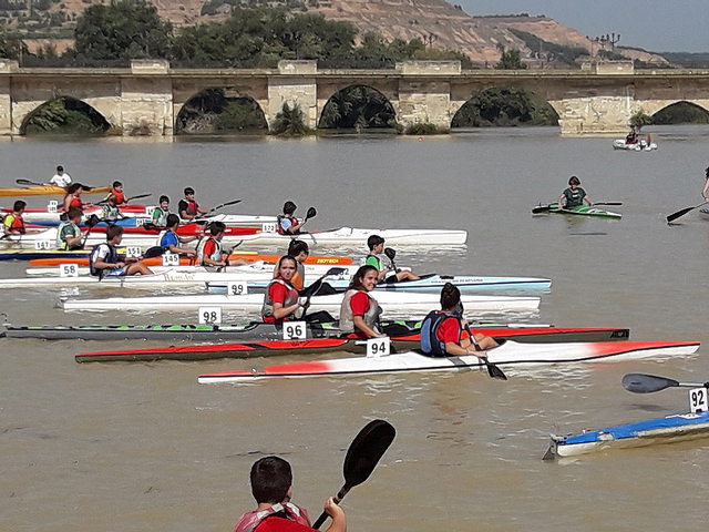 V Regata Entrepuentes