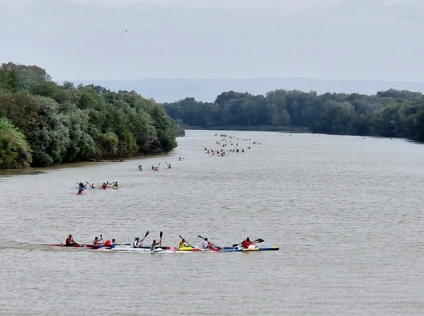 La octava edici&oacute;n de la regata Entrepuentes reuni&oacute; a 170 palistas en aguas del Ebro