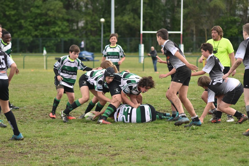 Nuevas galerías de fotos y videos