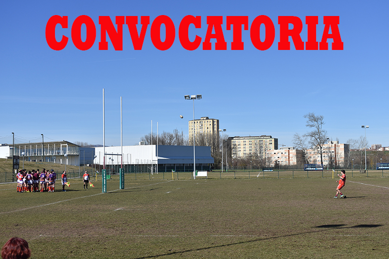 Cuatro navarros al Centro de Rugby Masculino de San Sebasti&aacute;n